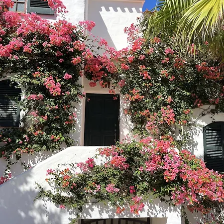 Mar Y Sol By Som Menorca Appartement Fornells (Menorca)